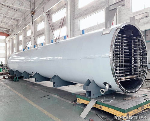 生產(chǎn)型食品冷凍干燥機,大型食品凍干機設(shè)備